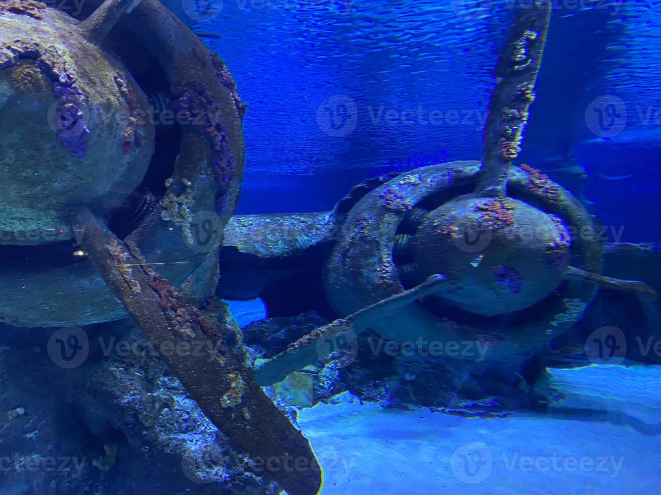 Sunken plane from the film Jaws 4, Nassau, The Bahamas photo