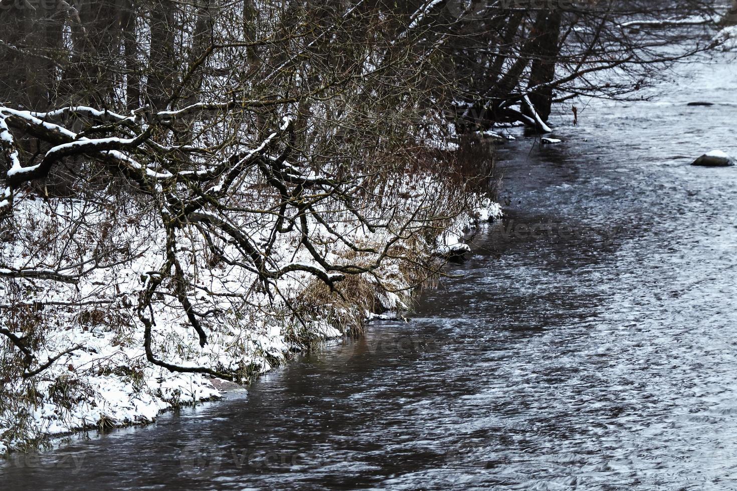 Flowing water river curve with snow covered bank with big tree branch over water photo