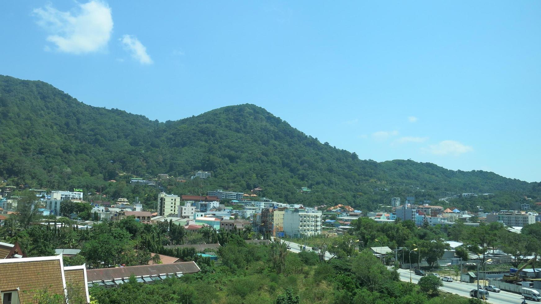 City In The Middle Of Jungle photo