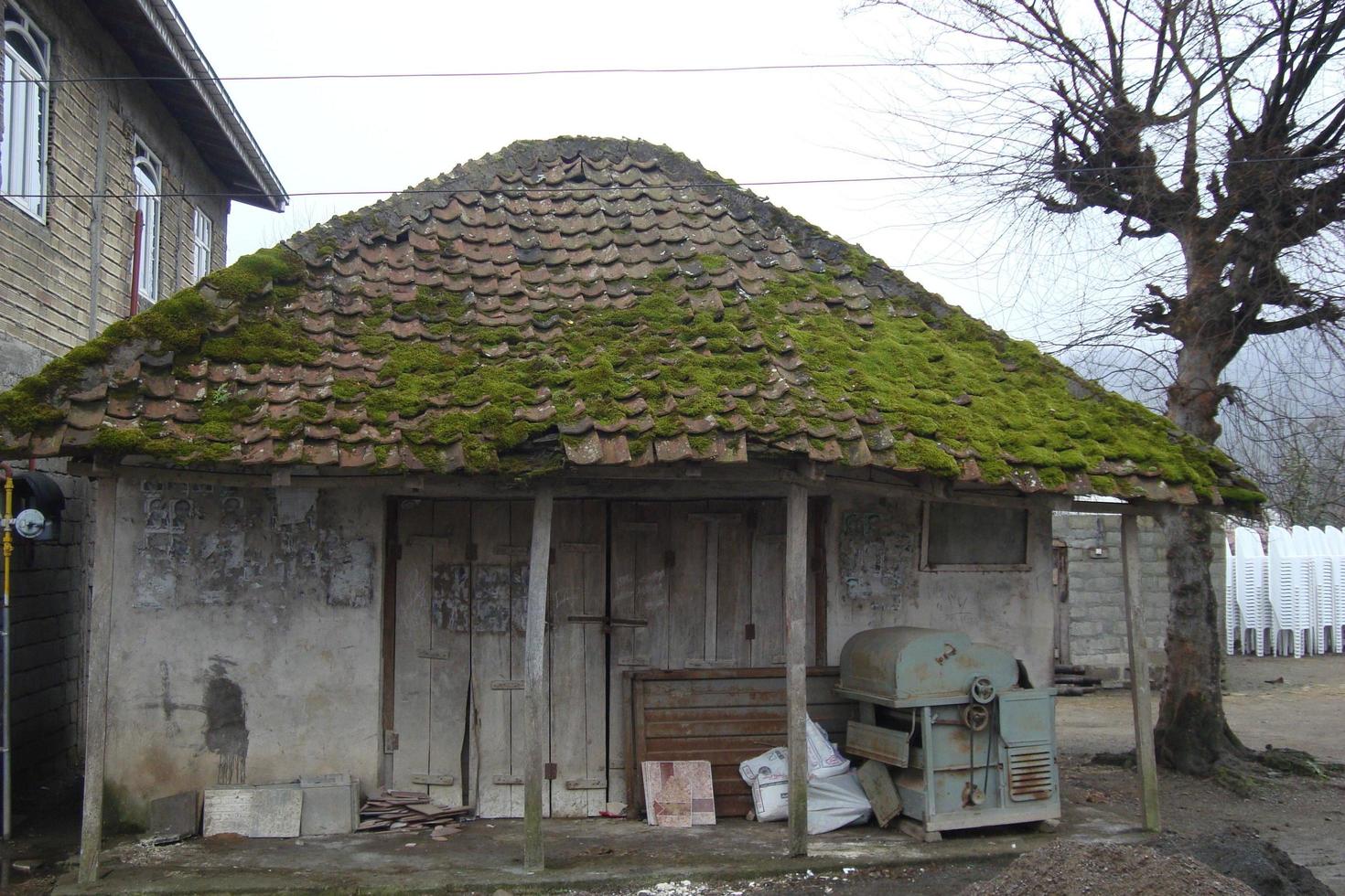 Grass Growing On The Roof photo