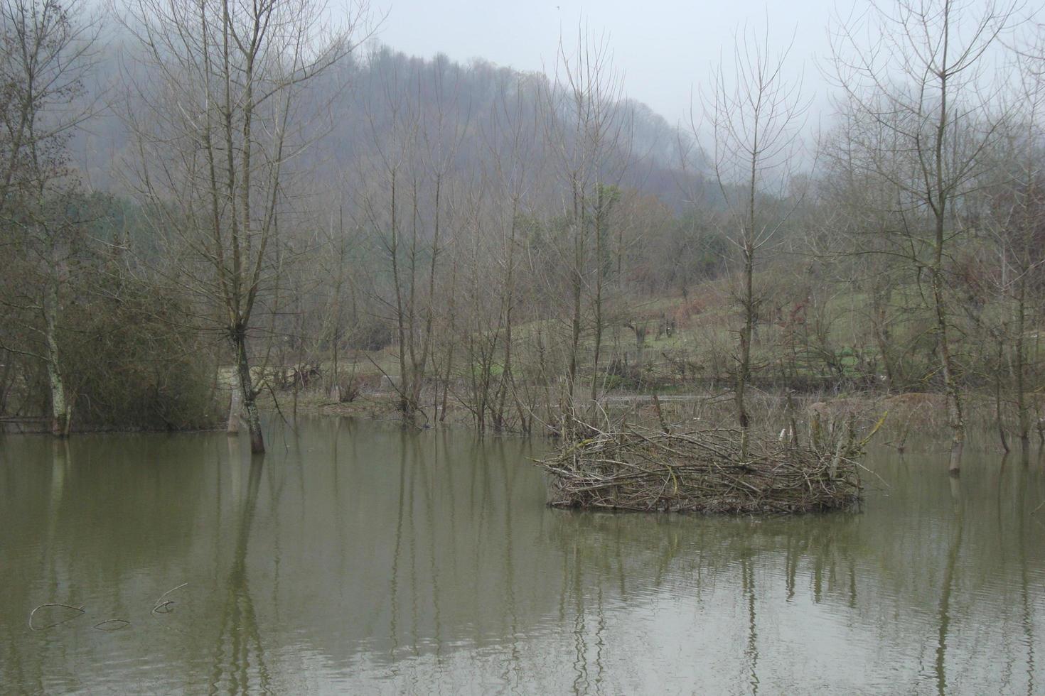 The Swamp In Autumn Season photo