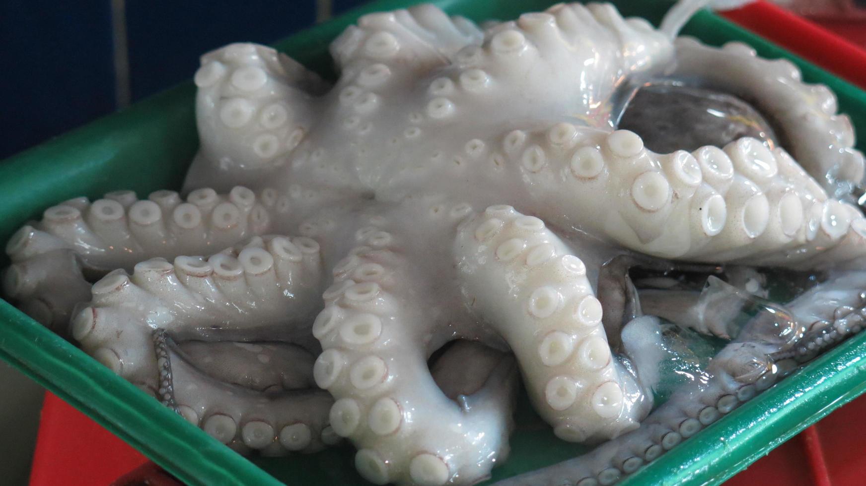 The Fresh Sea Food Close Up photo