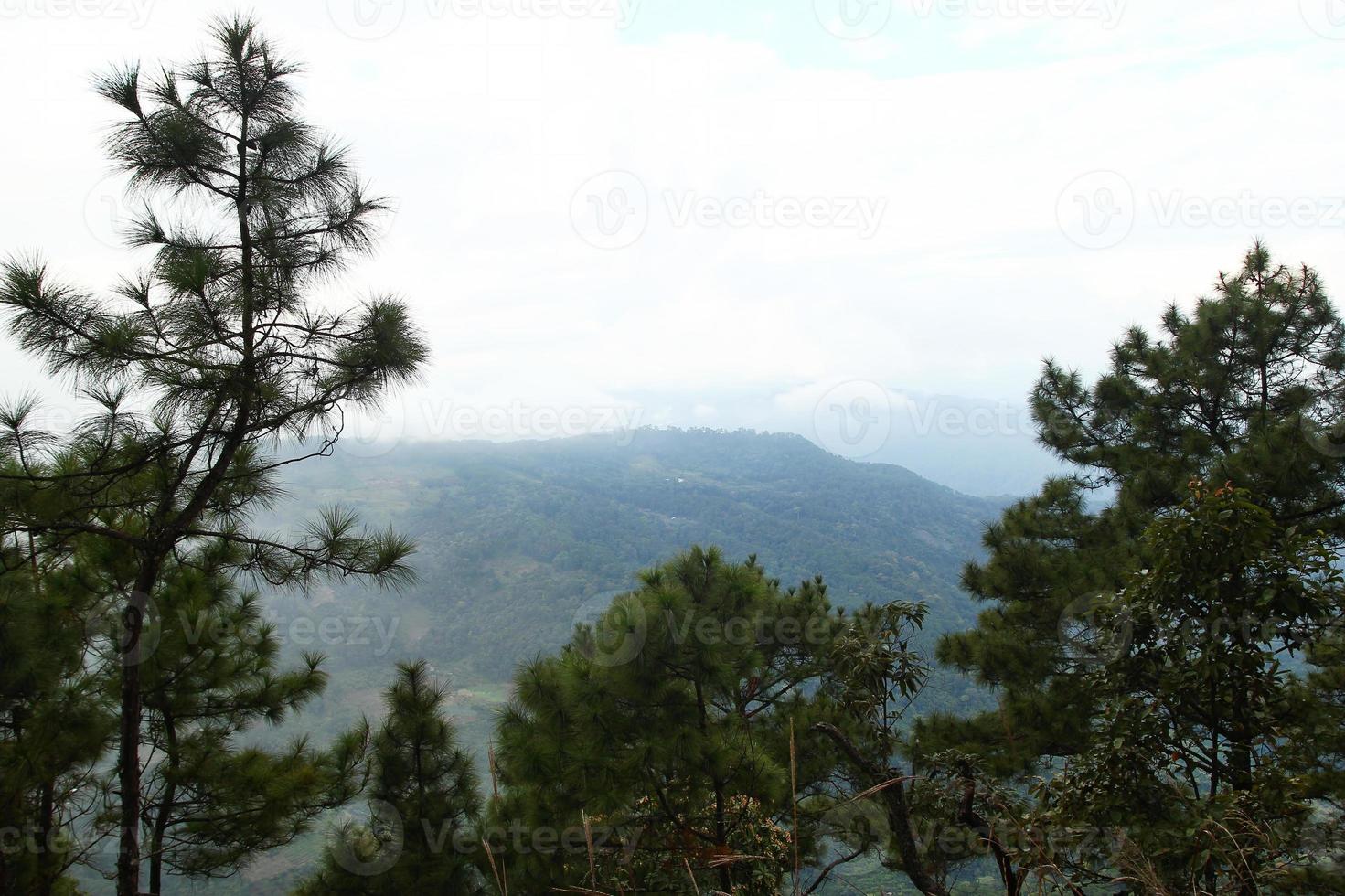 paisaje con árboles coníferos y montañas sobre un fondo en un clima nublado. doi suthep, tailandia foto