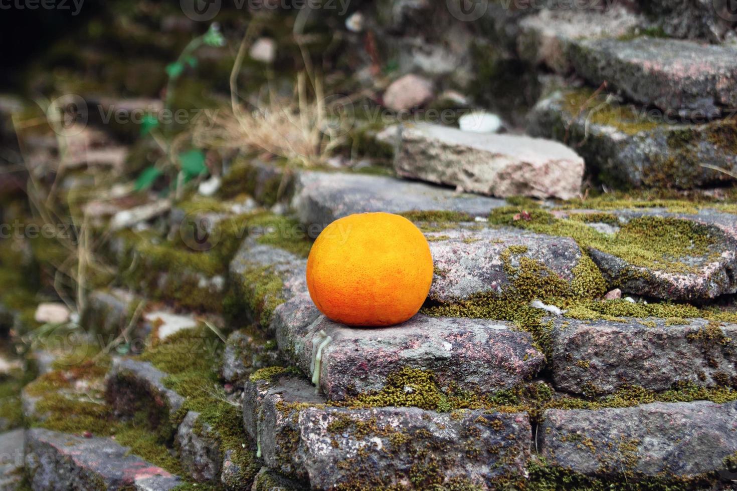 Fresh mandarin on the steps of an Asian temple. Chiangmai, Thailand. photo