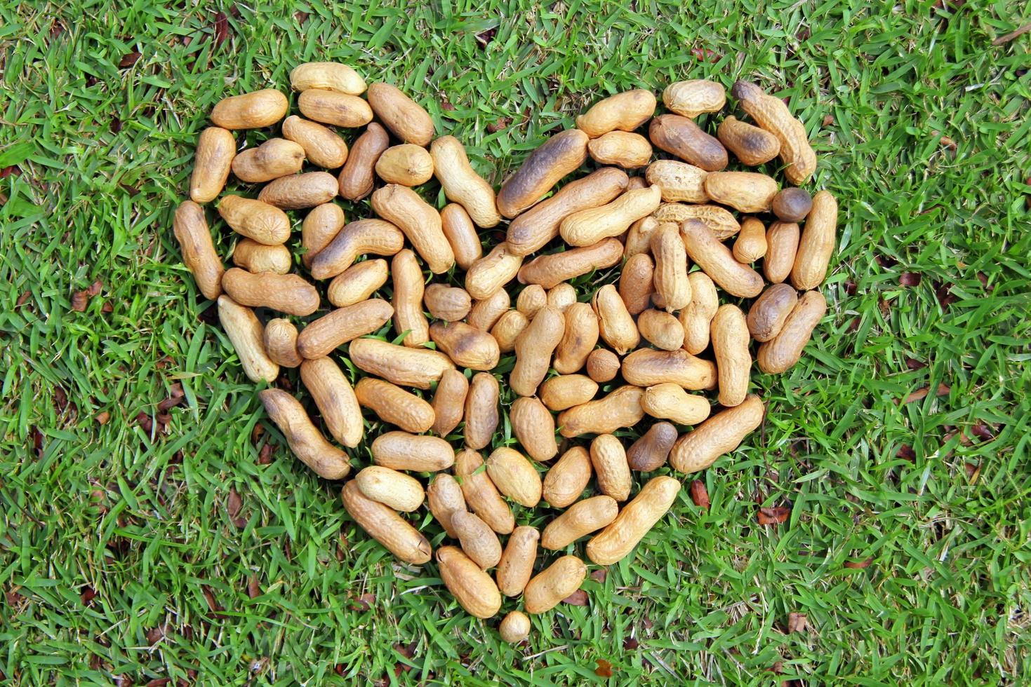 The heart from the nuts on the grass for Valentine's Day. photo