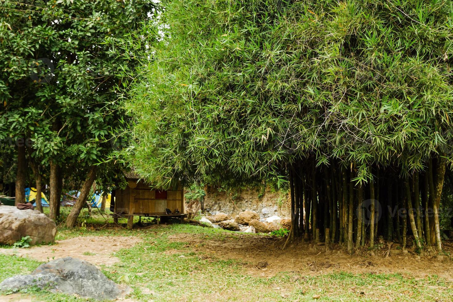 vista en un camping y una casa de bambú en la selva tropical. chiang dao, tailandia. foto