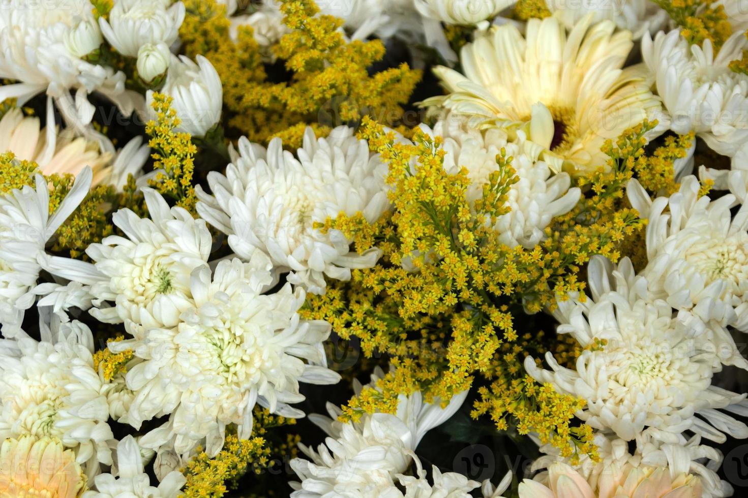 White chrysanthemums and yellow flowers of mimosa in the bouquets at the flower market, top view. Chiang Mai, Thailand. photo
