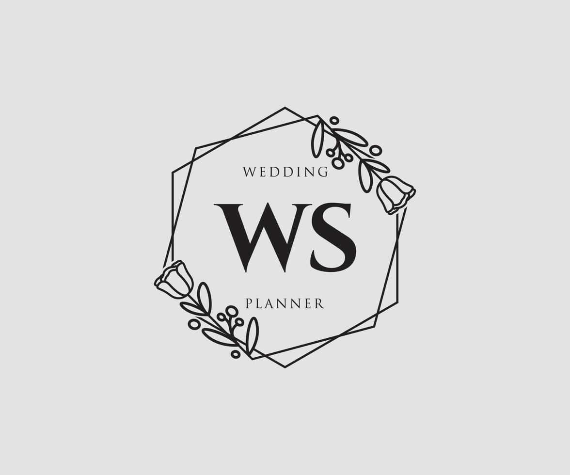 logotipo femenino ws inicial. utilizable para logotipos de naturaleza, salón, spa, cosmética y belleza. elemento de plantilla de diseño de logotipo de vector plano.