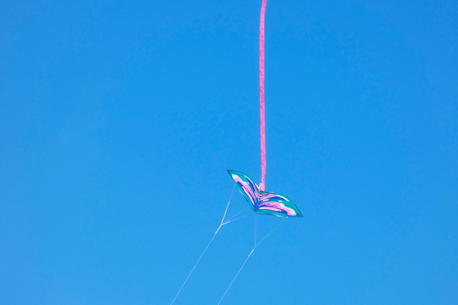 kite furrowing and hovering in the air under the blue sky photo