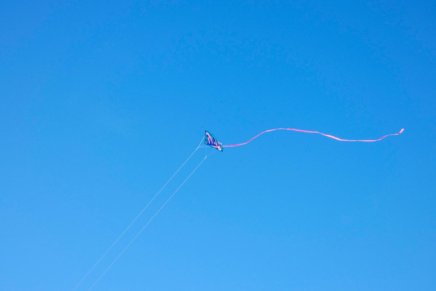kite furrowing and hovering in the air under the blue sky photo