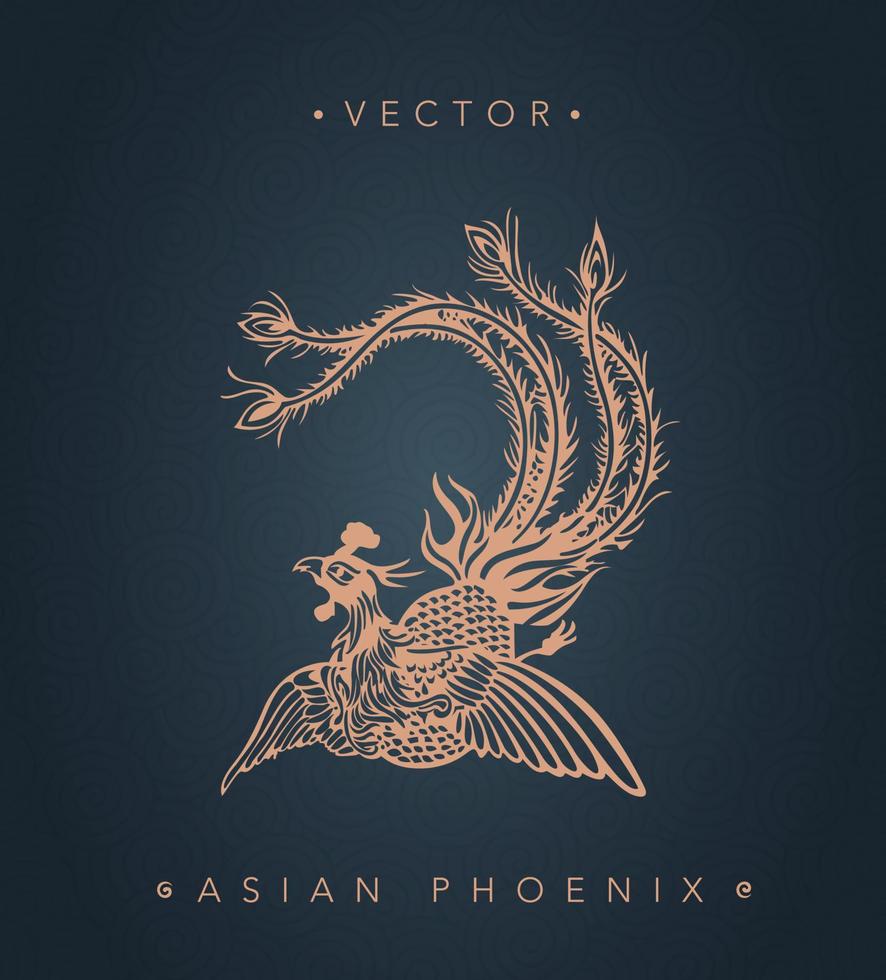 phoenix asiático patrón de tótem de phoenix chino vector