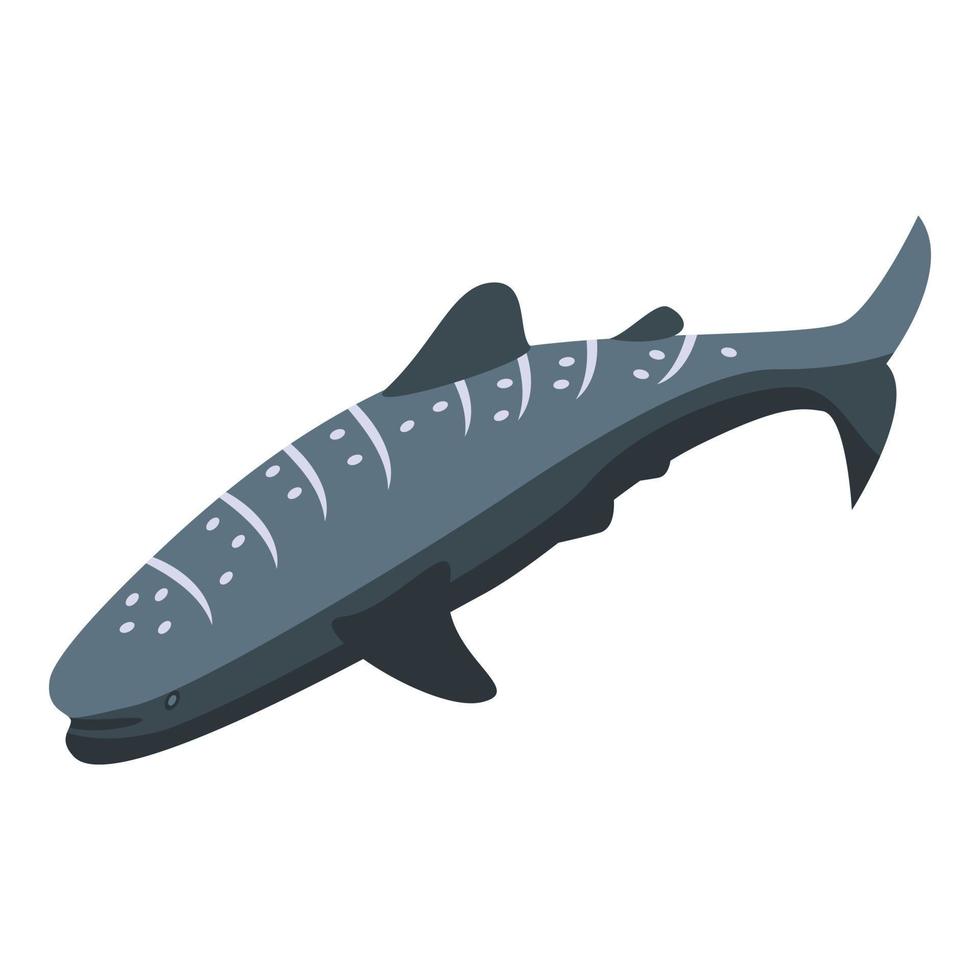 Whale shark animal icon isometric vector. Fish sea vector