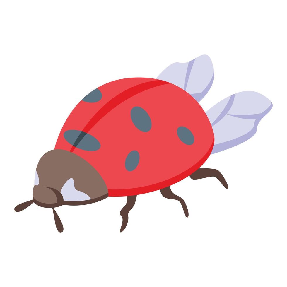 niño mariquita icono vector isométrico. lindo insecto