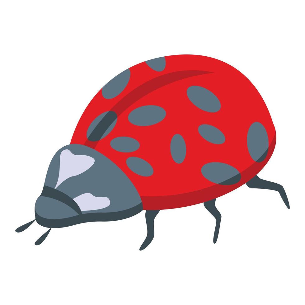 Red ladybird icon isometric vector. Cute bug vector