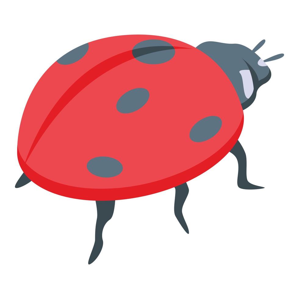 Summer ladybug icon isometric vector. Cute bug vector