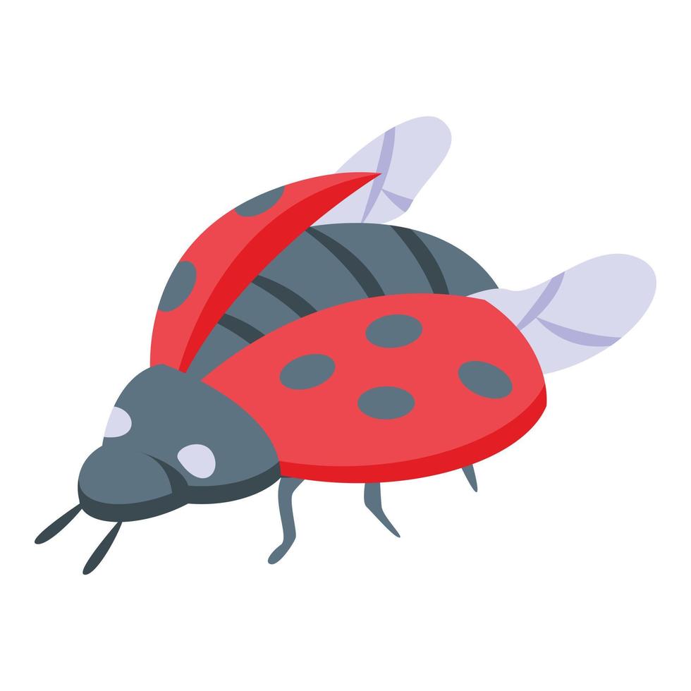 Flying ladybug icon isometric vector. Cute bug vector