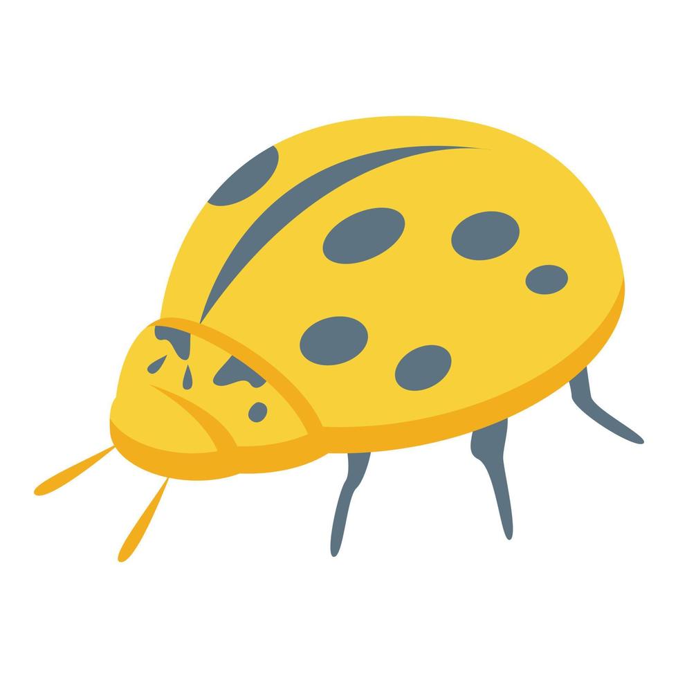 Yellow ladybird icon isometric vector. Cute insect vector