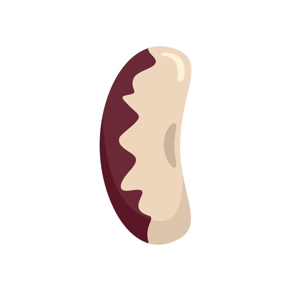 Legume kidney bean icon flat isolated vector