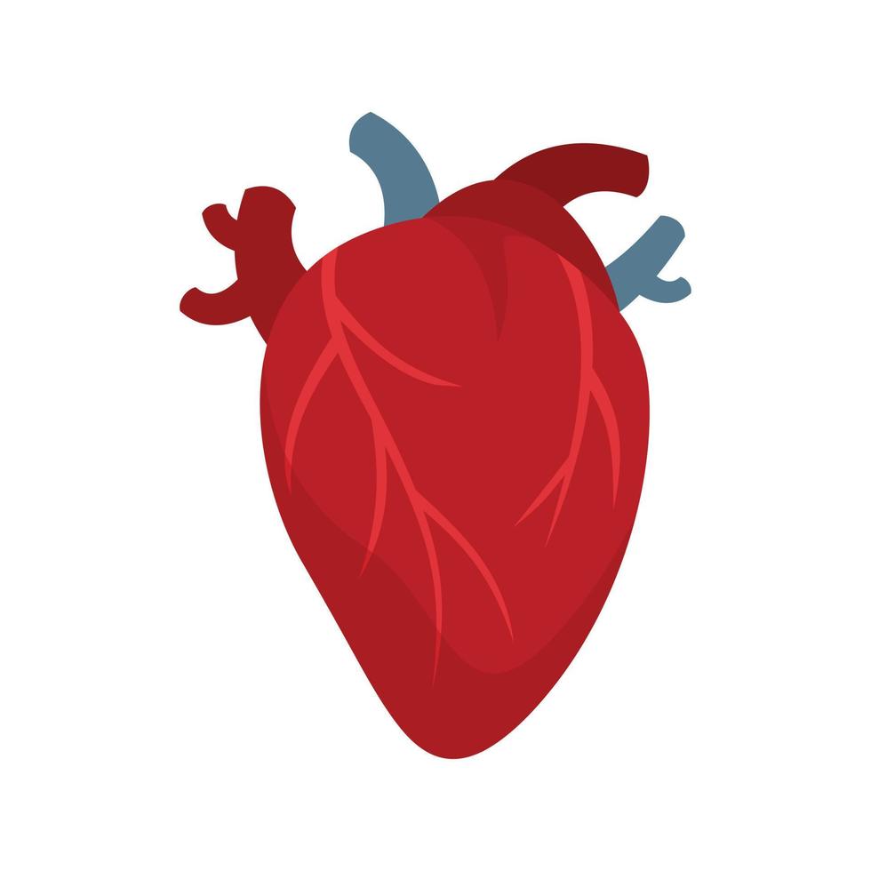 cardiología corazón humano icono plano aislado vector