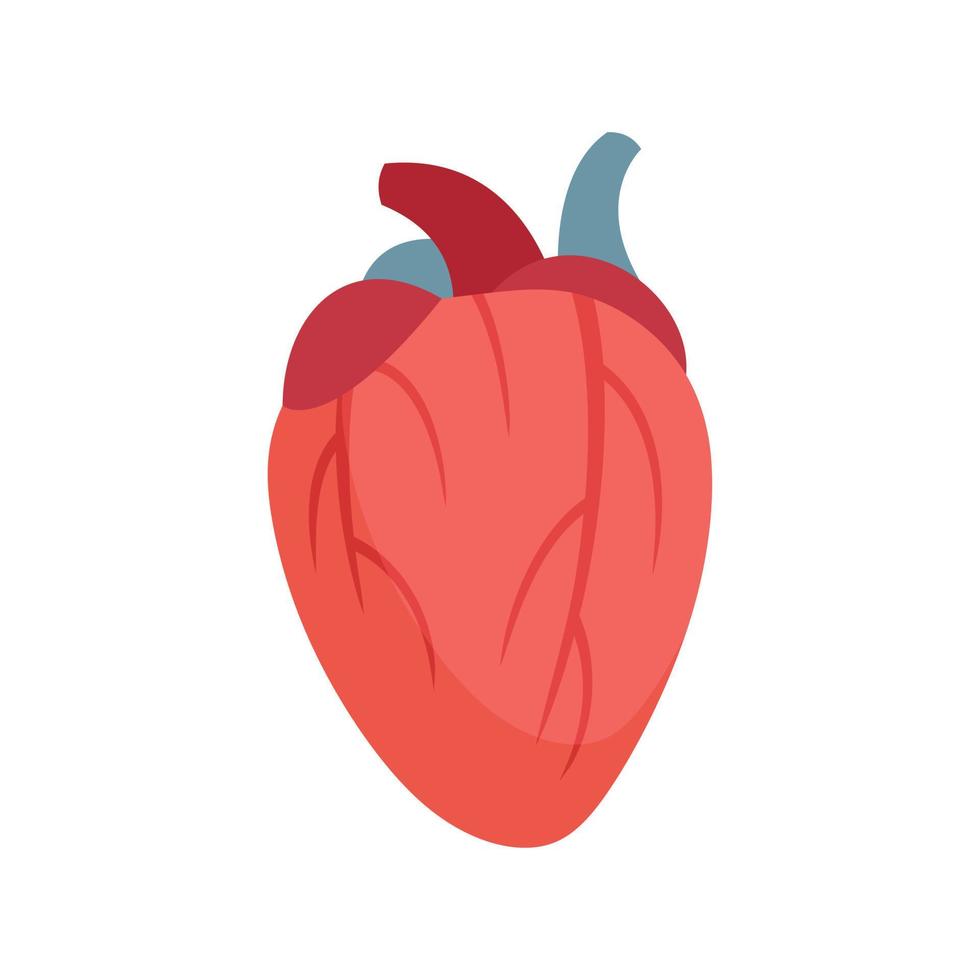 corazón humano icono plano aislado vector