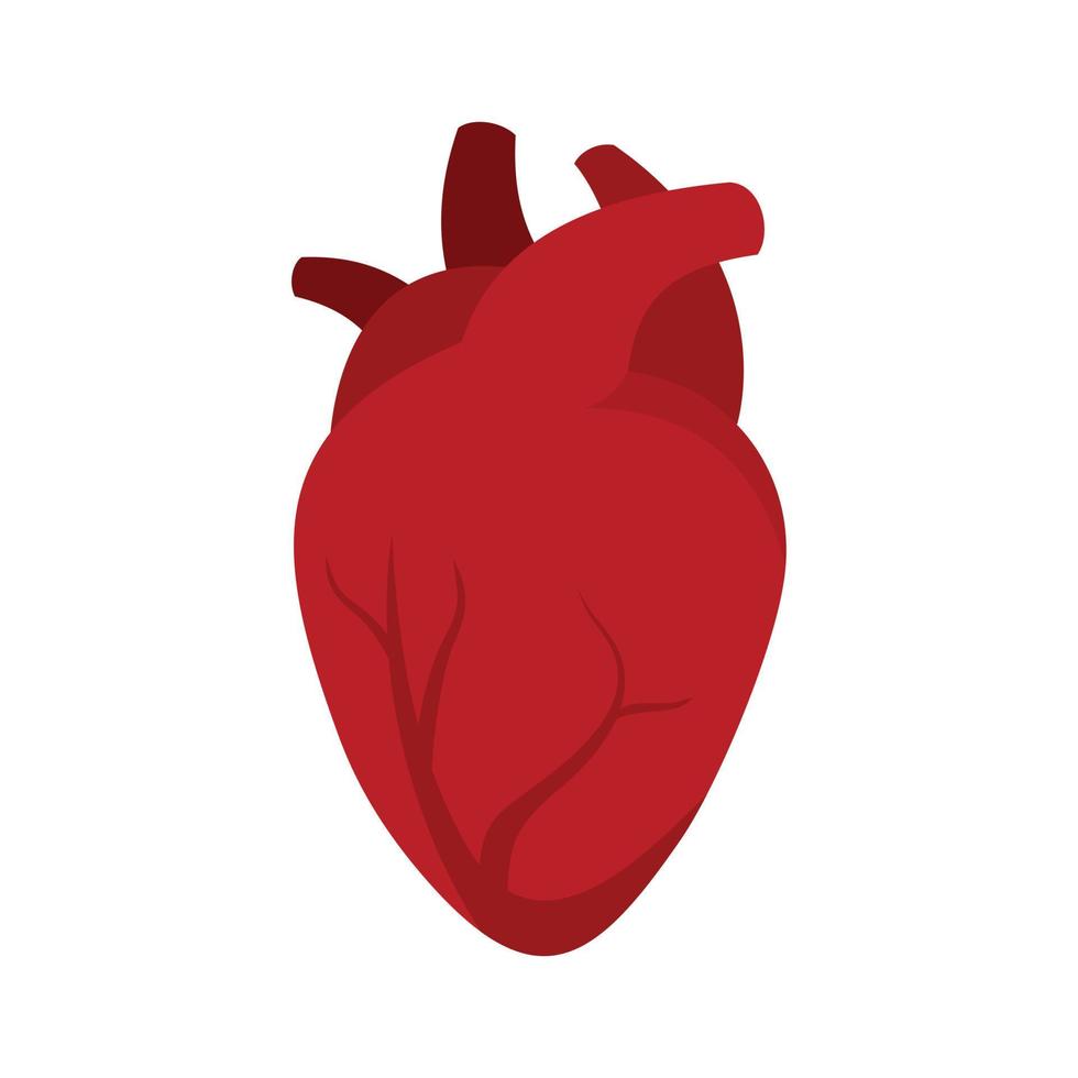 órgano humano corazón icono plano aislado vector