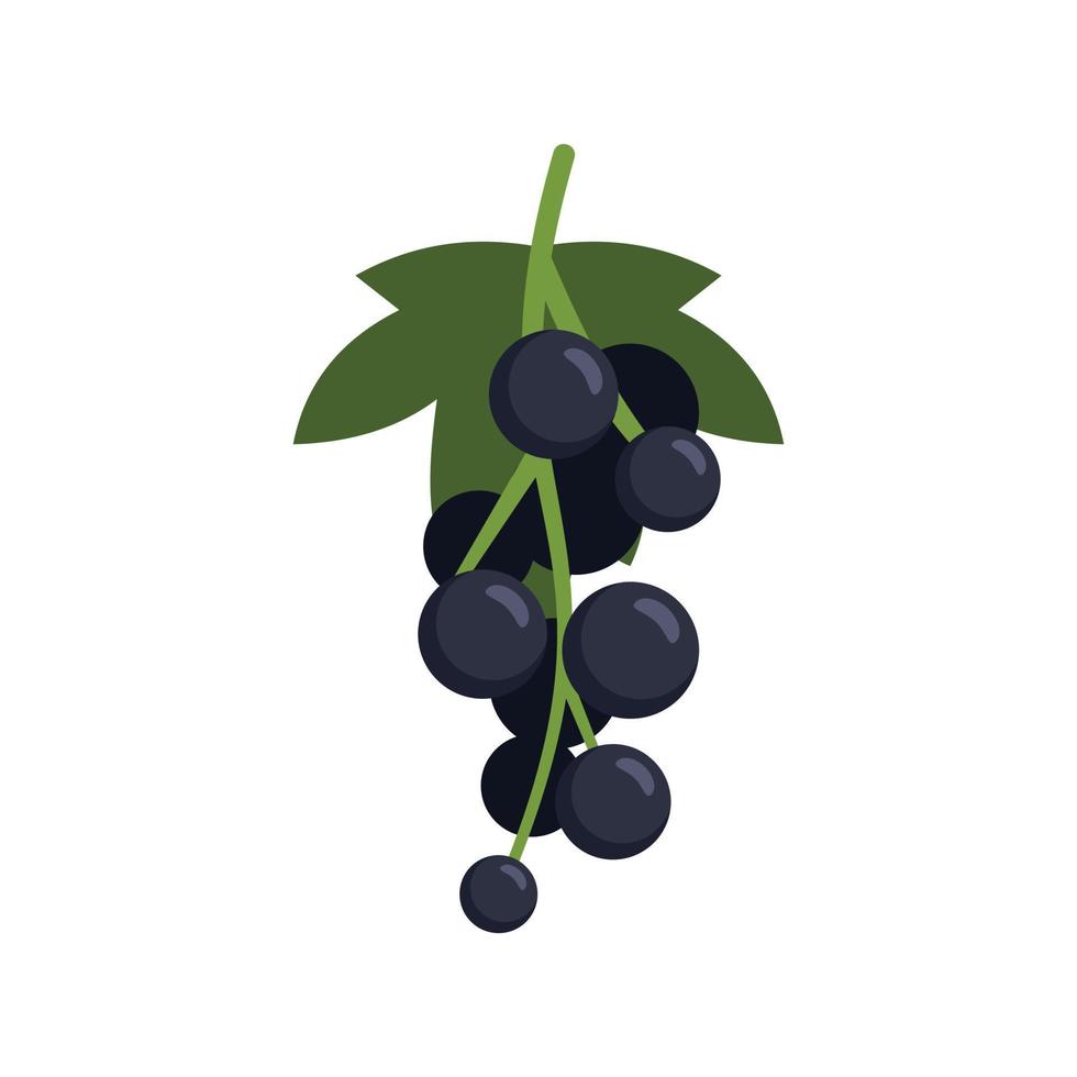 Black currant berries icon flat isolated vector