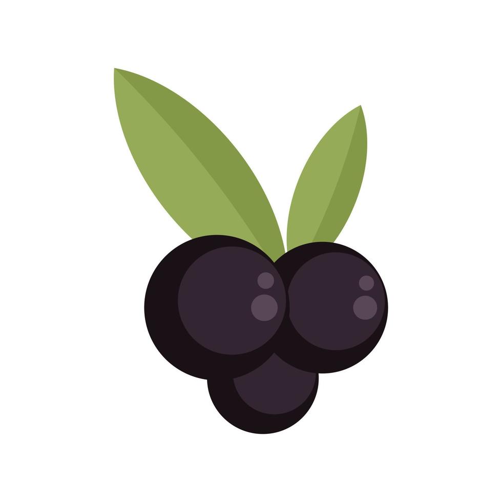 Blackcurrant icon flat isolated vector