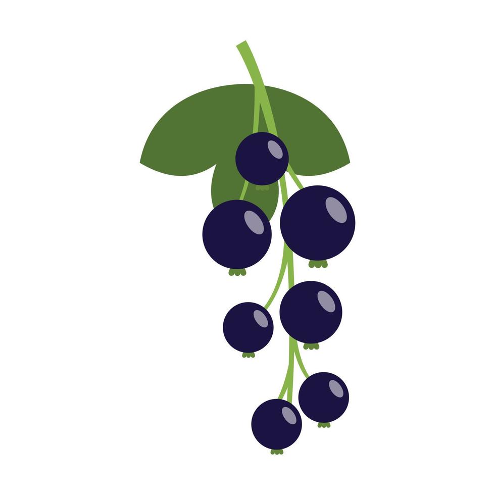 Blue currant berry icon flat isolated vector