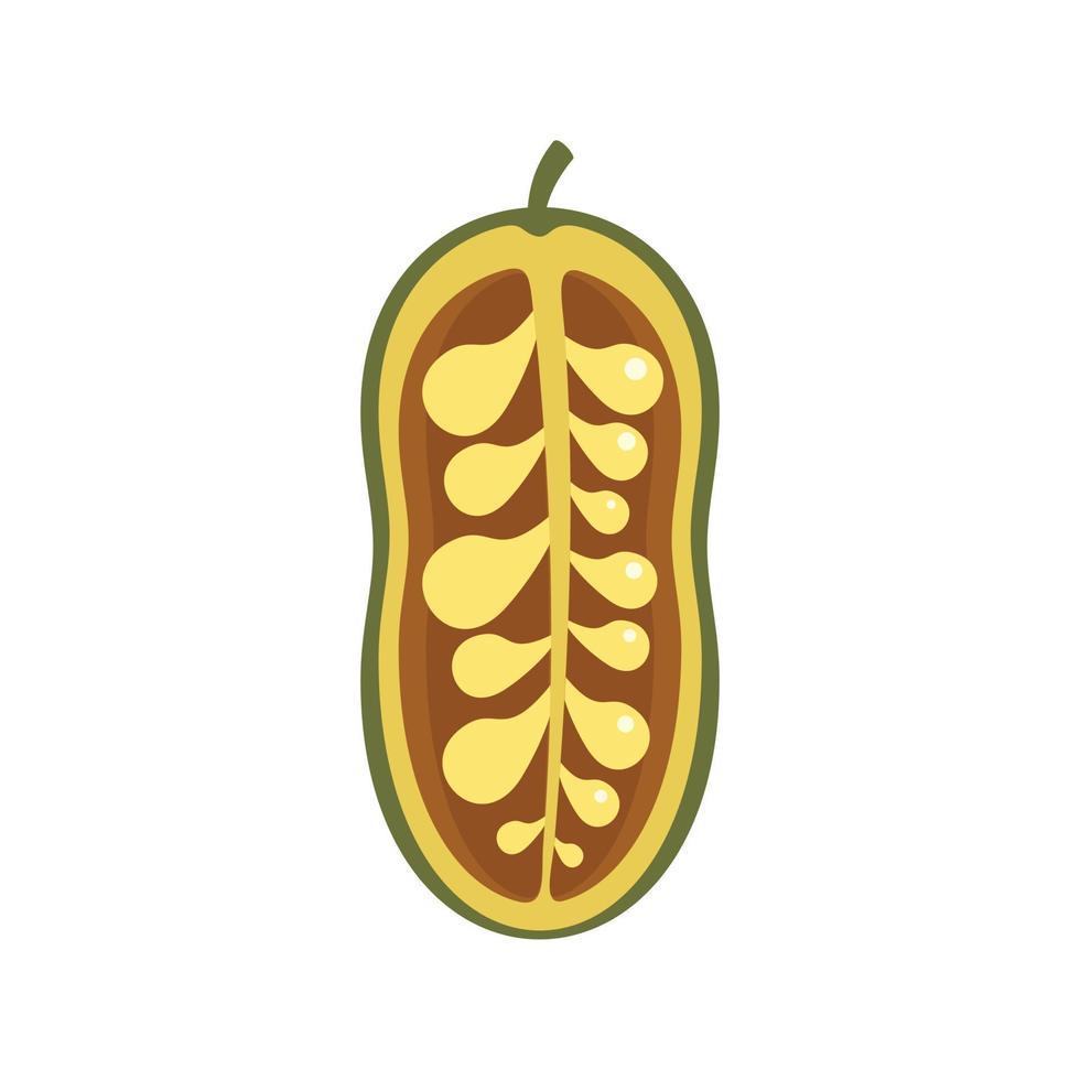 Jackfruit icon flat isolated vector