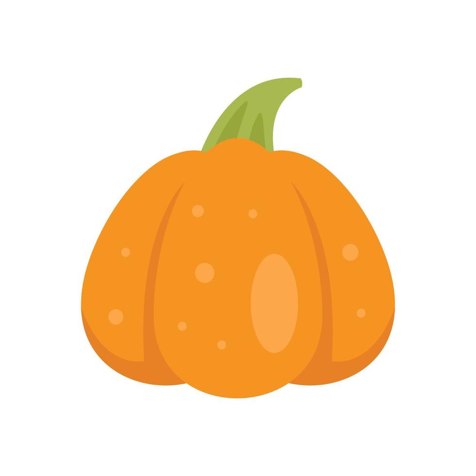 Nature pumpkin icon flat isolated vector