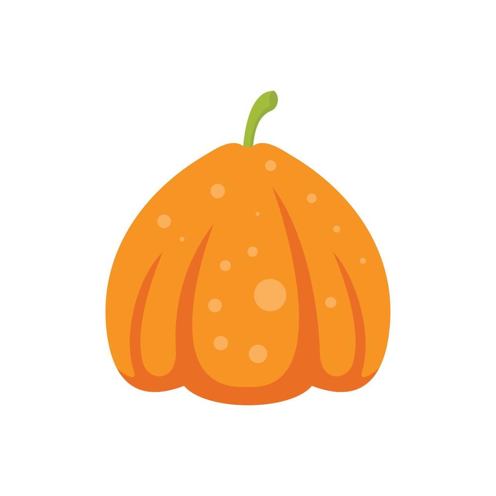 Holiday pumpkin icon flat isolated vector