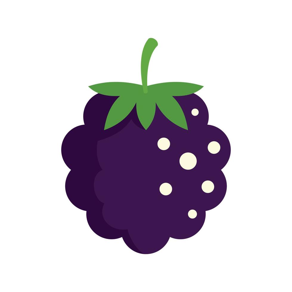 comida blackberry icono plano aislado vector