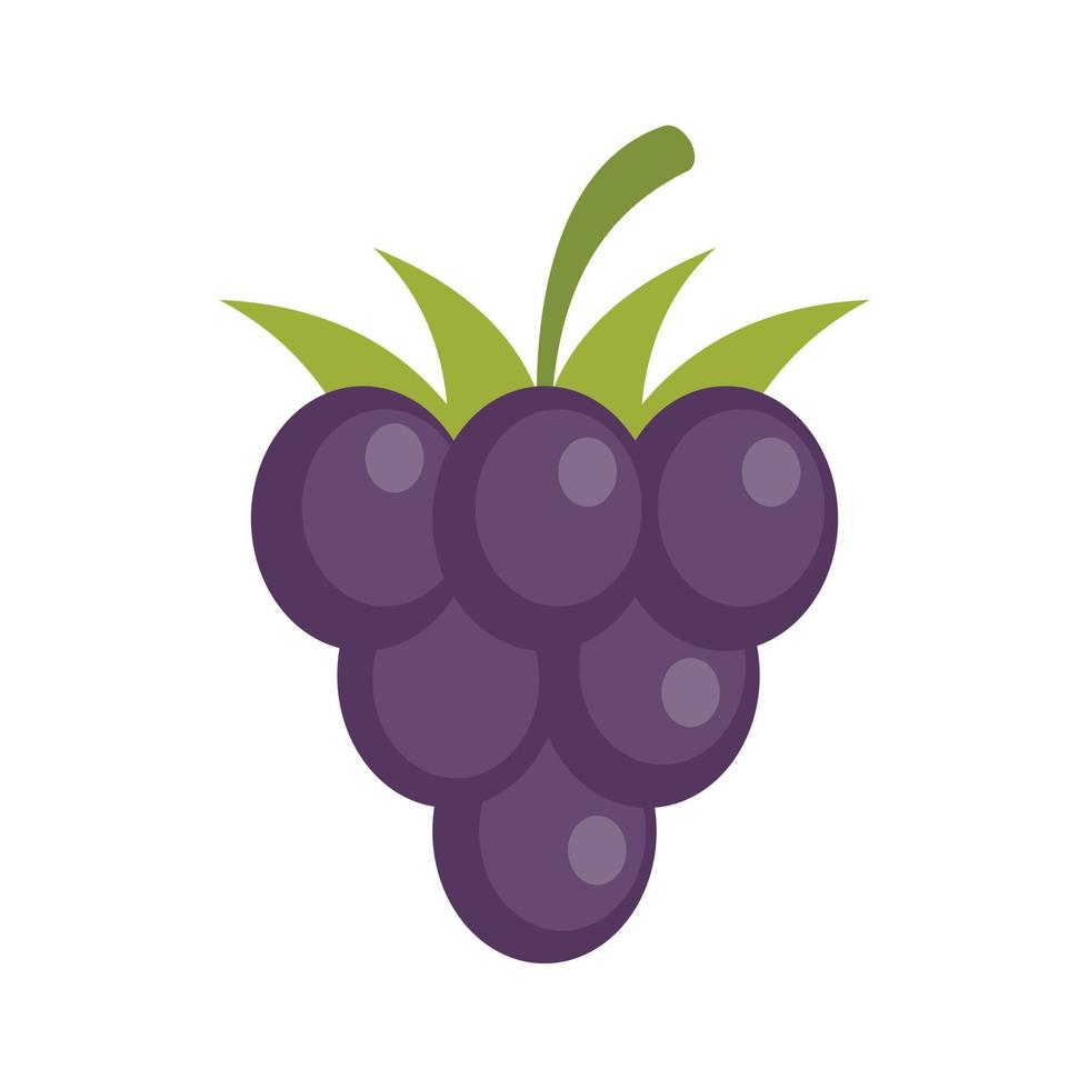 blackberry icono plano aislado vector