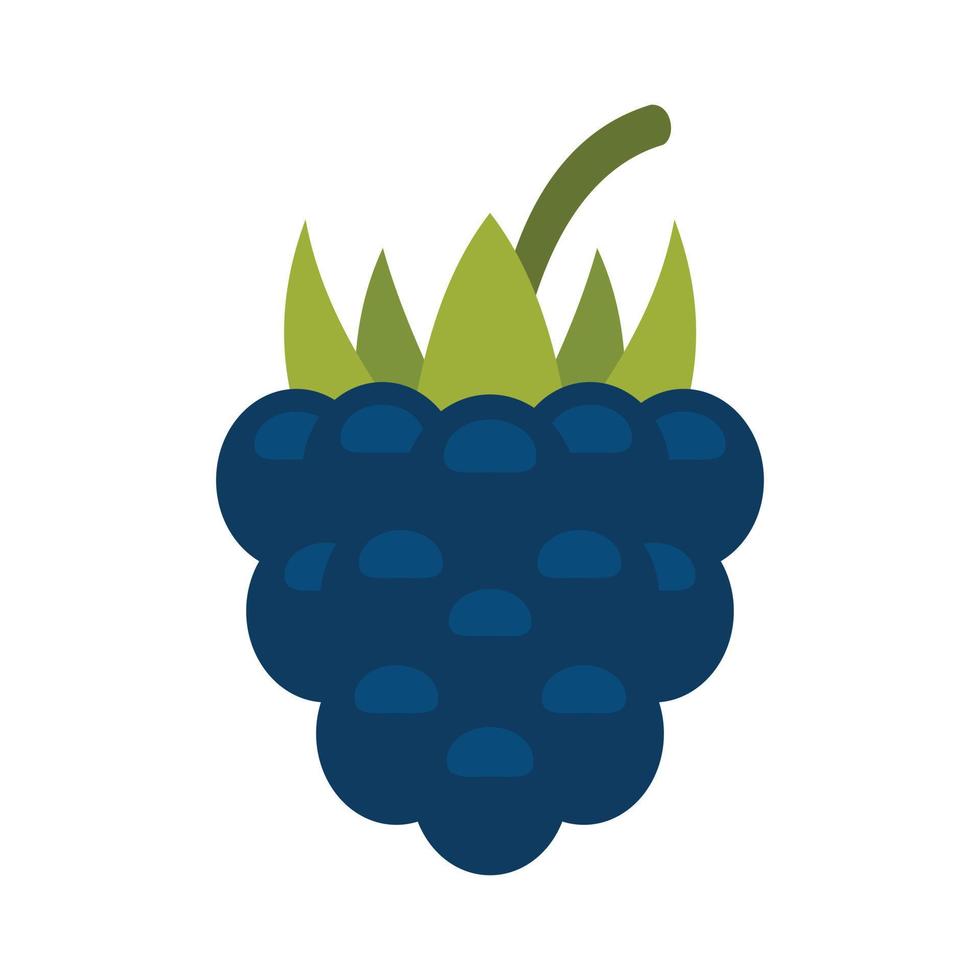 Delicious blackberry icon flat isolated vector