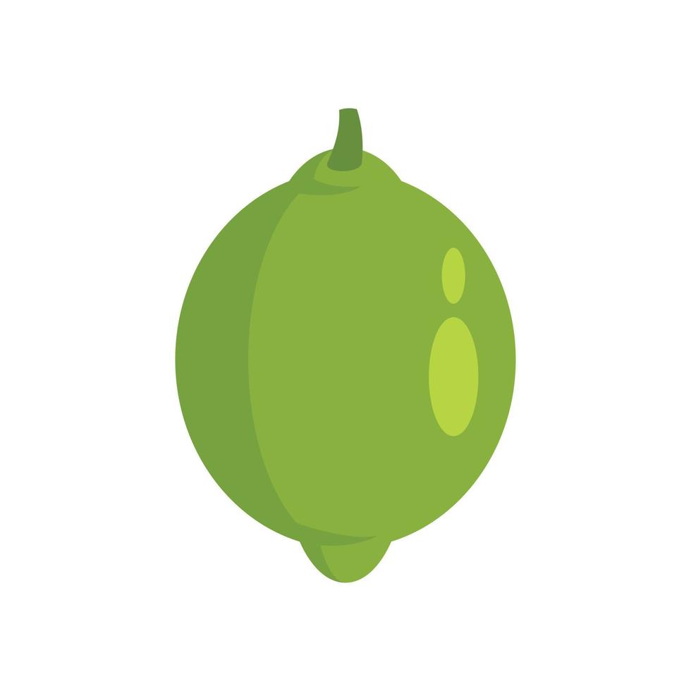 Mexican lime icon flat isolated vector