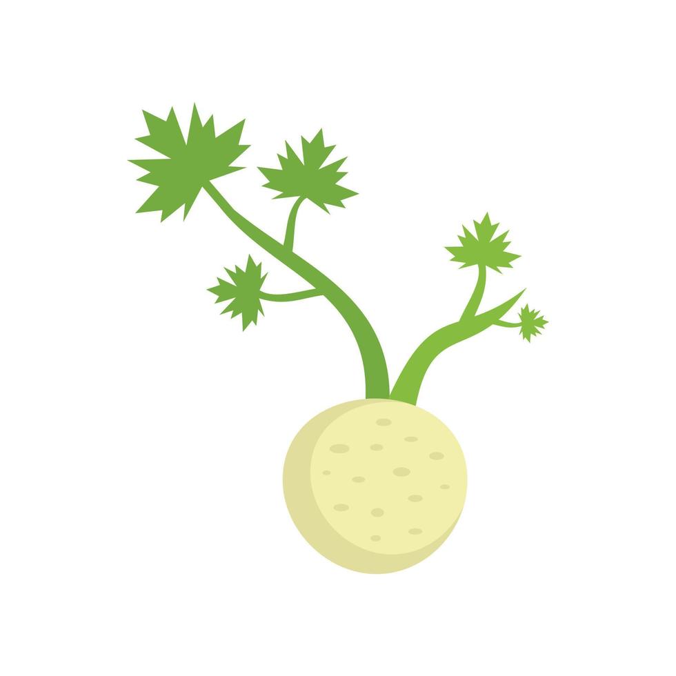 Fresh root celery icon flat isolated vector