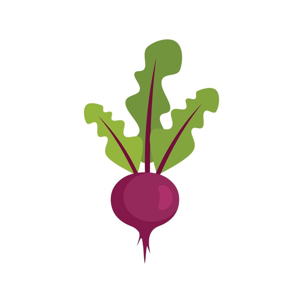 Farm beet icon flat isolated vector