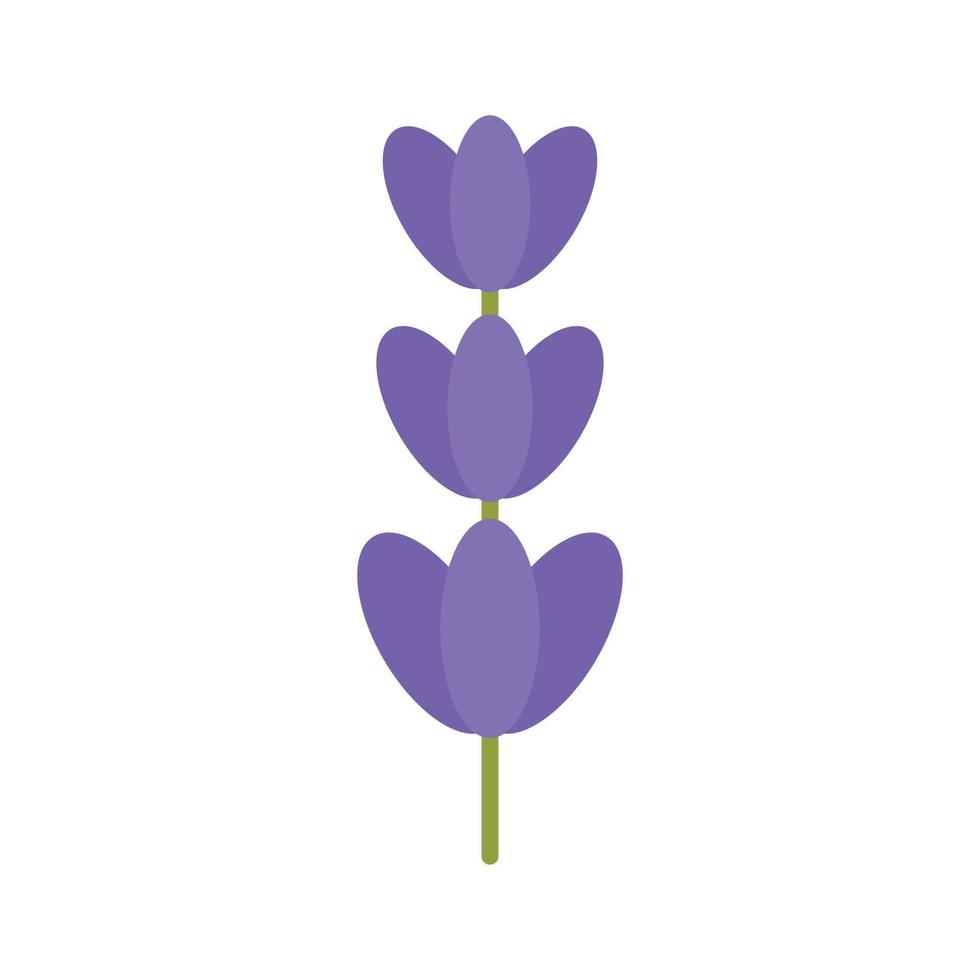 botánica lavanda icono plano aislado vector