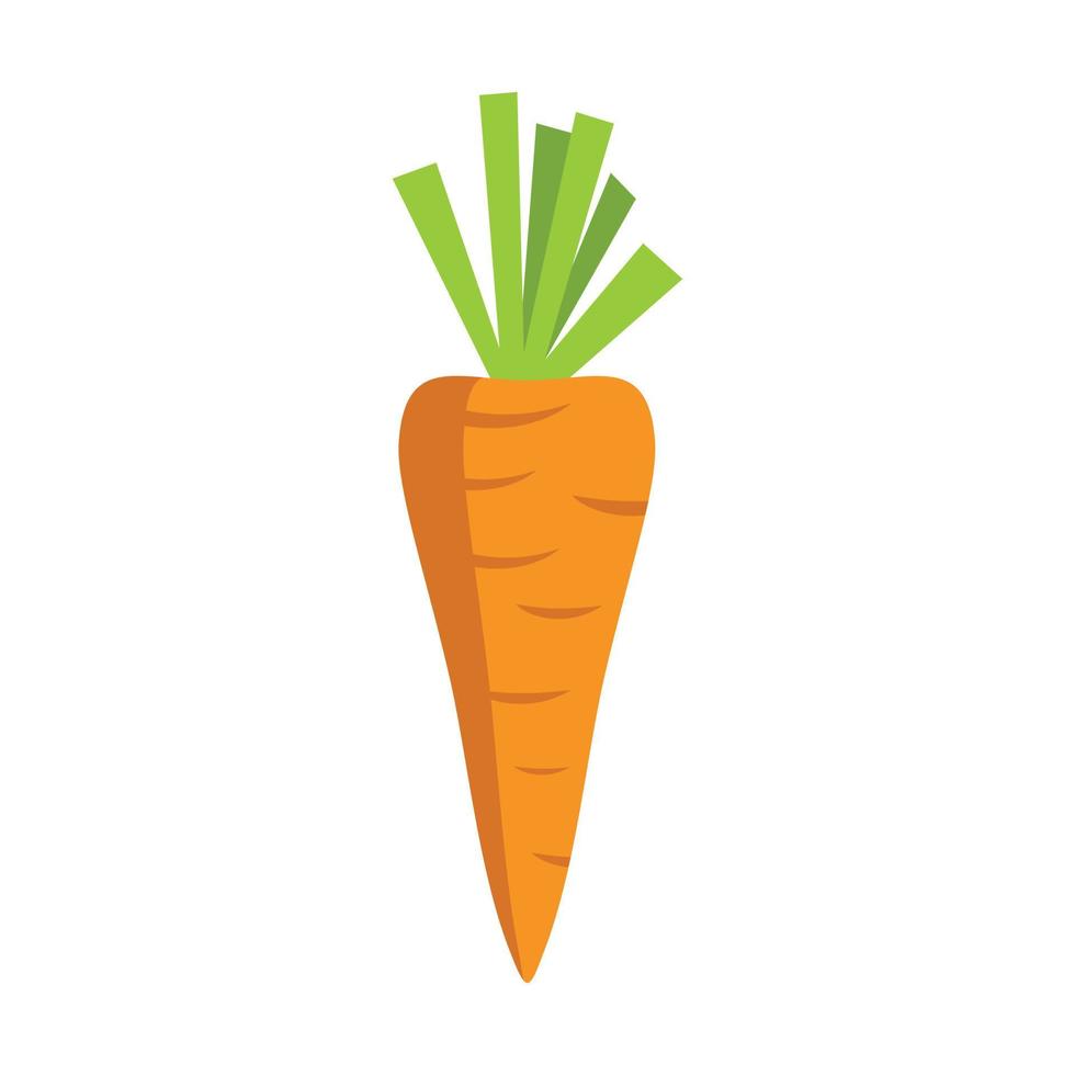 Diet carrot icon flat isolated vector