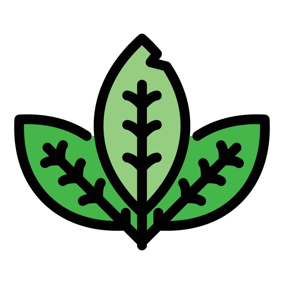 Mint leaf icon color outline vector