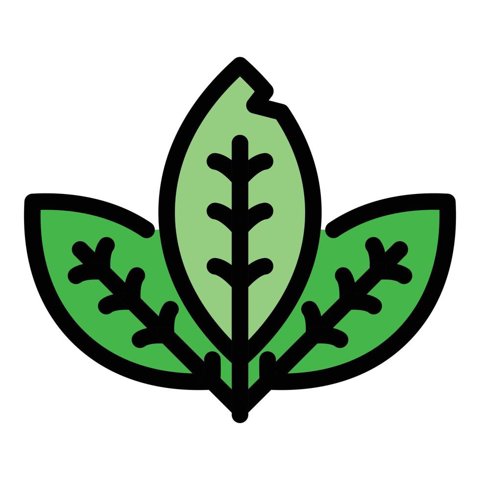 Mint leaf icon color outline vector