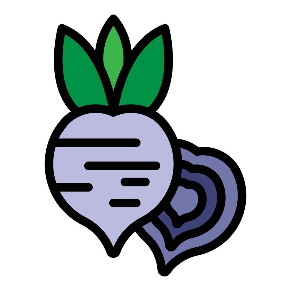 Beet icon color outline vector