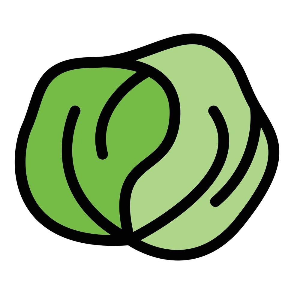 Garden cabbage icon color outline vector