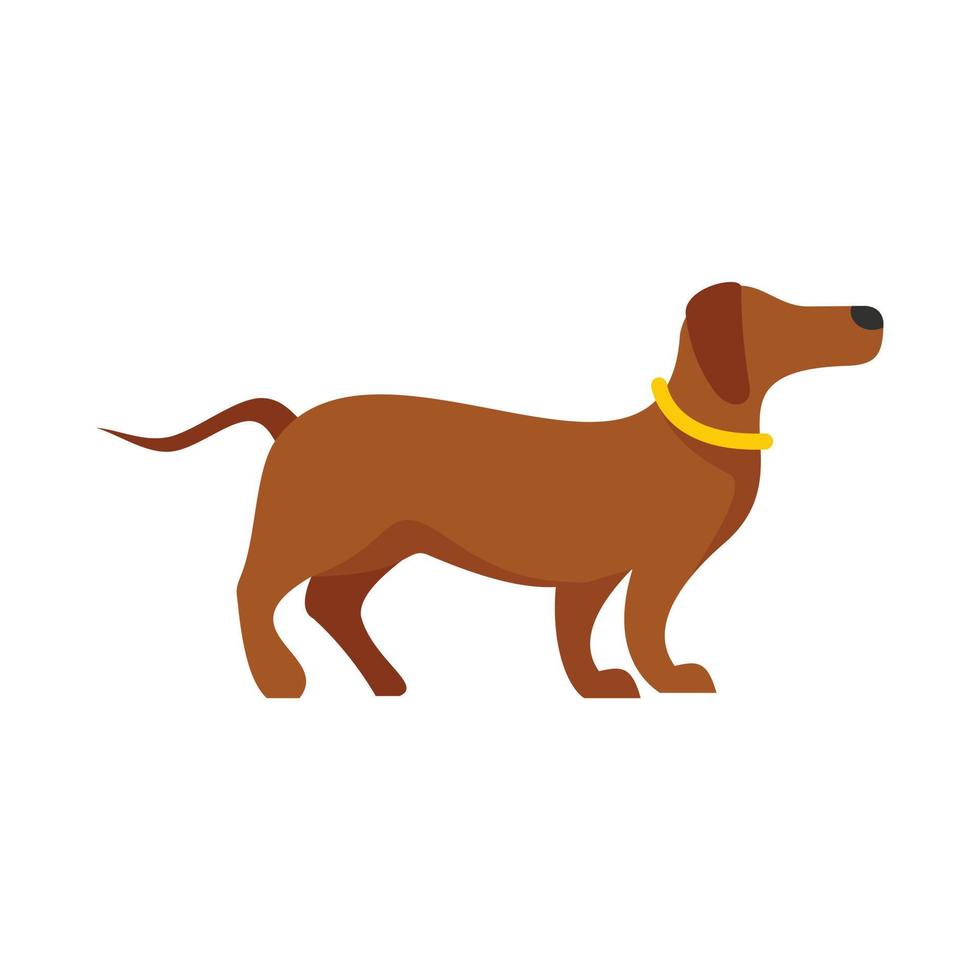 deporte perro entrenamiento icono plano aislado vector