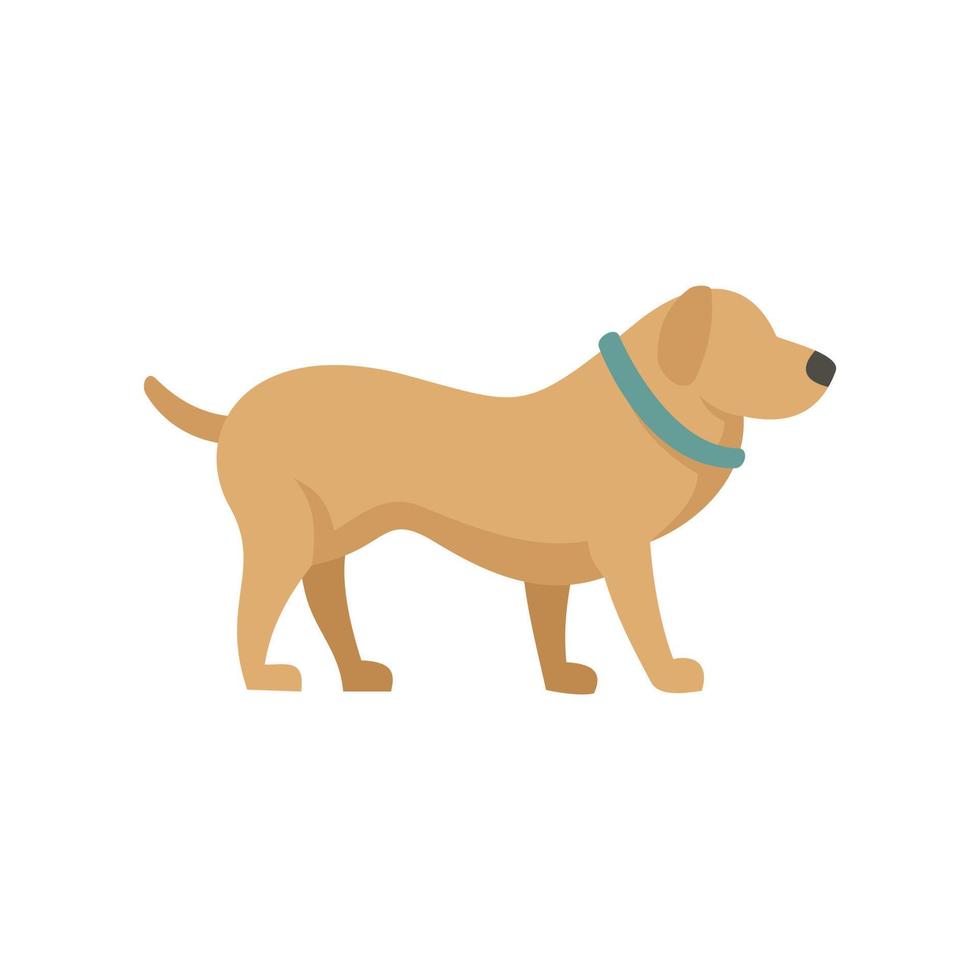Home dog training icon flat isolated vector
