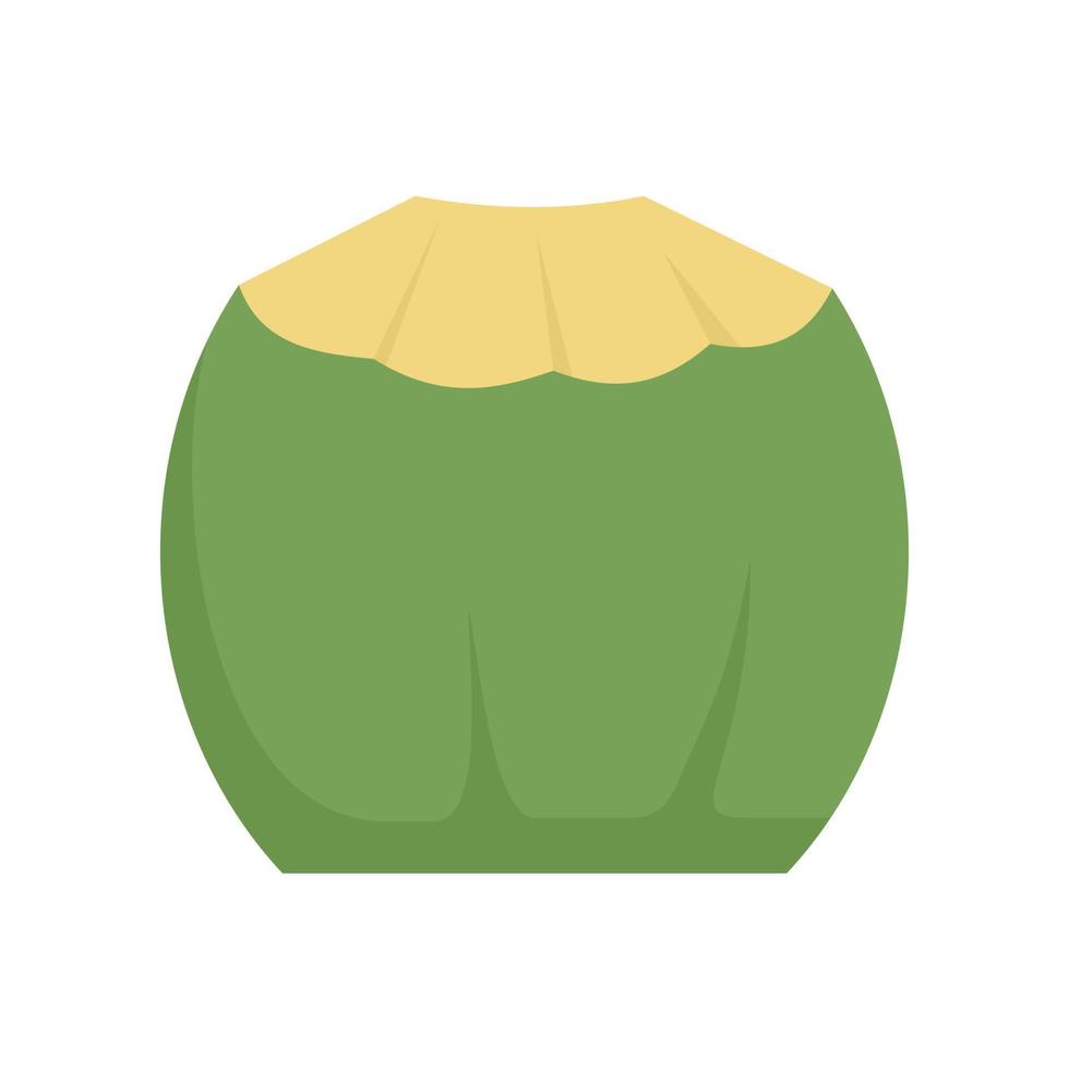 Fresh coconut icon flat isolated vector