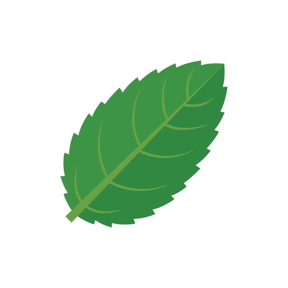 Peppermint icon flat isolated vector