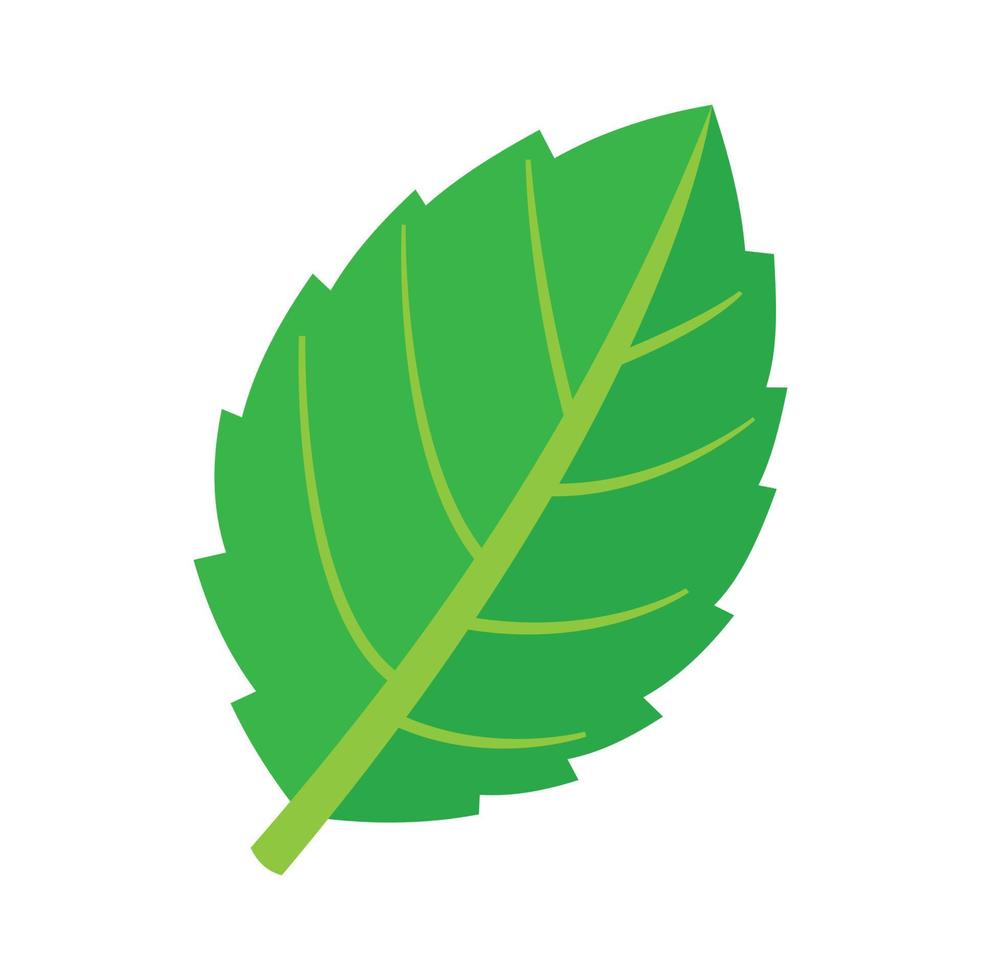 Mint leaf plant icon flat isolated vector