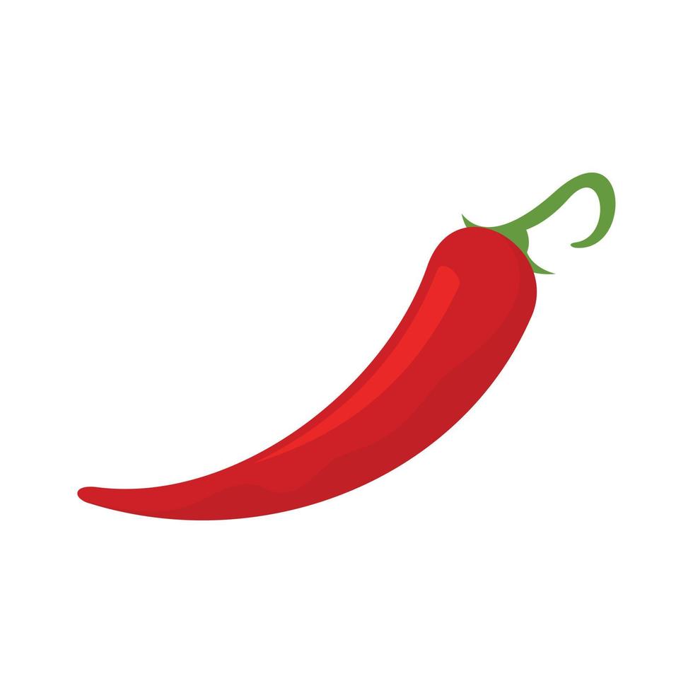 Recipe chili icon flat isolated vector