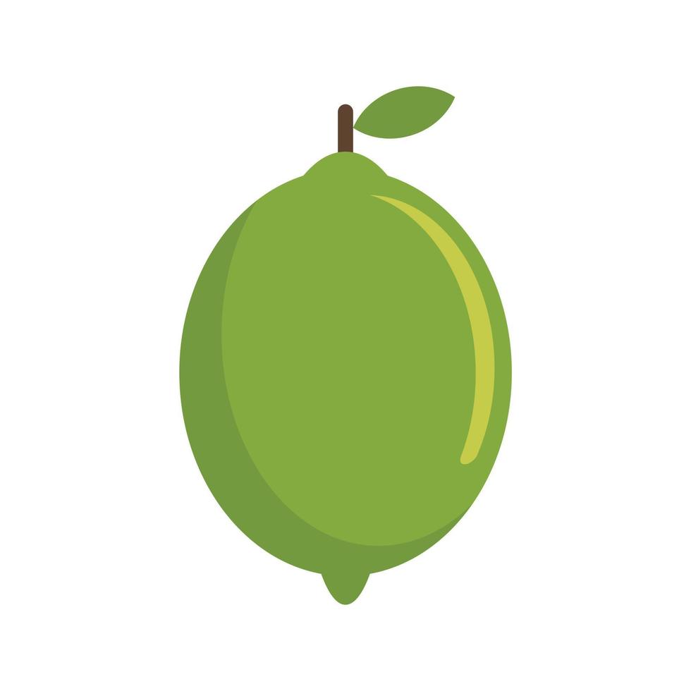 Lime fruit icon flat isolated vector